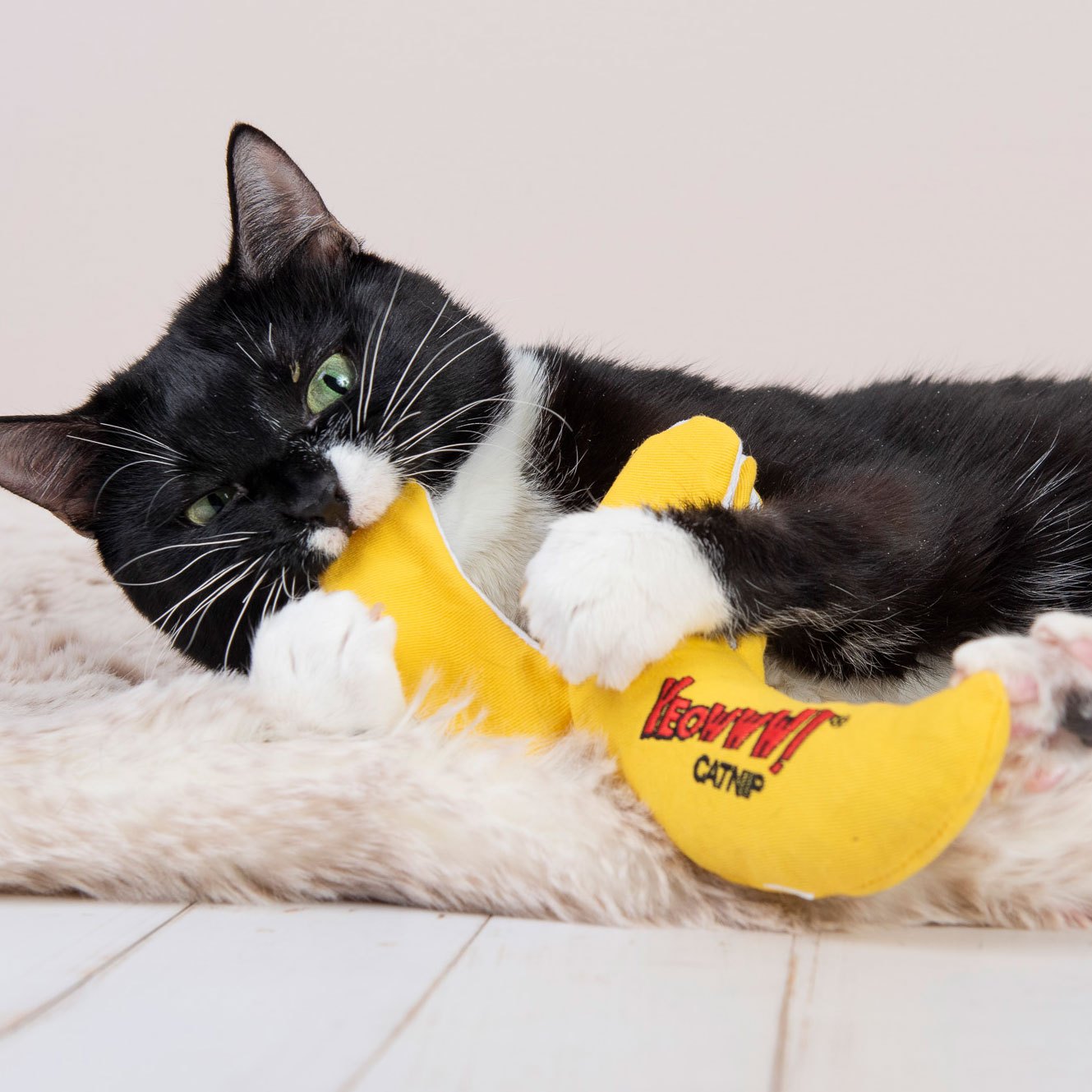Kat speelt met een catnip-speeltje