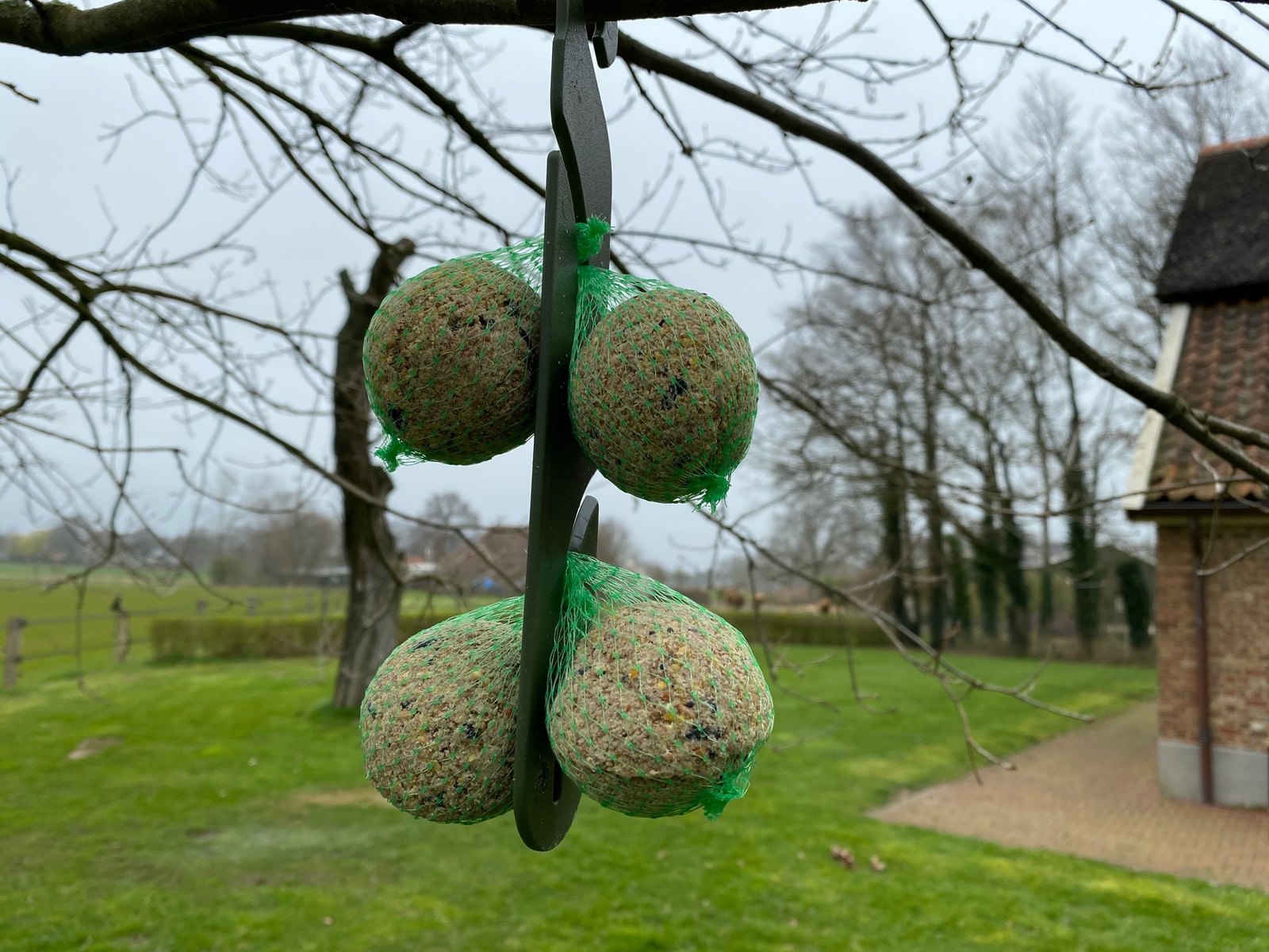 Voersilo voor pluimvee in de tuin