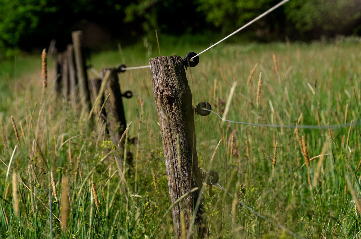 Houten paal met weideafrastering in een groene wei