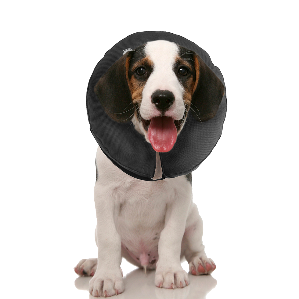 Huid- & wondverzorging hond