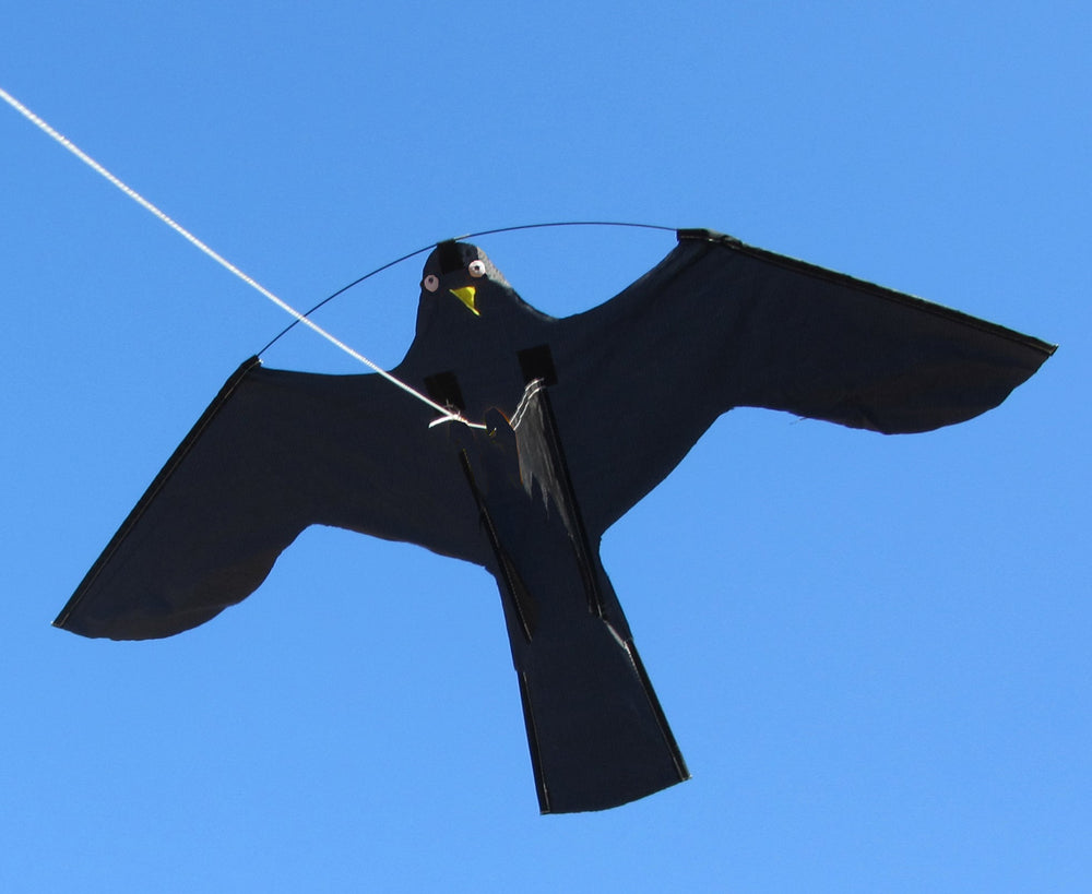 Birdshield