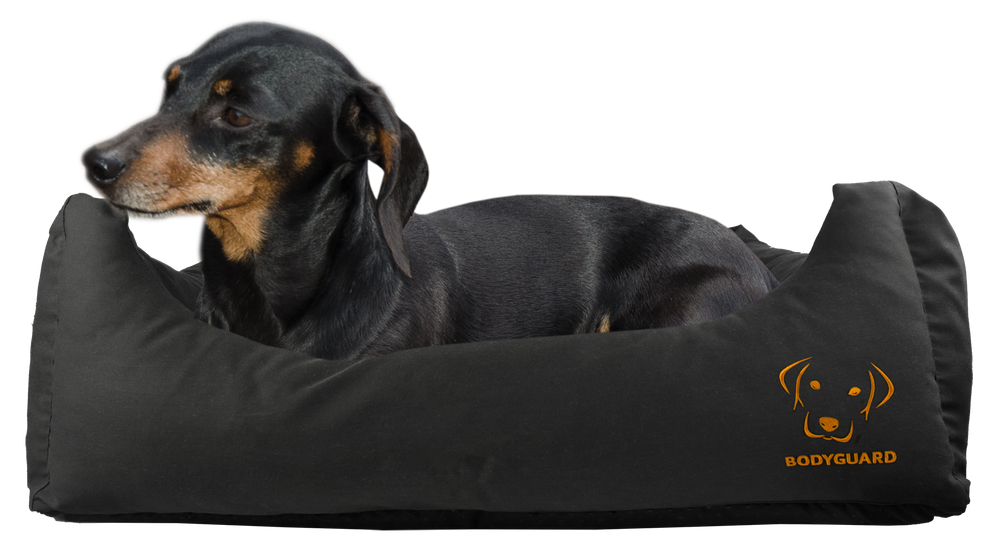 Puppymanden & bench