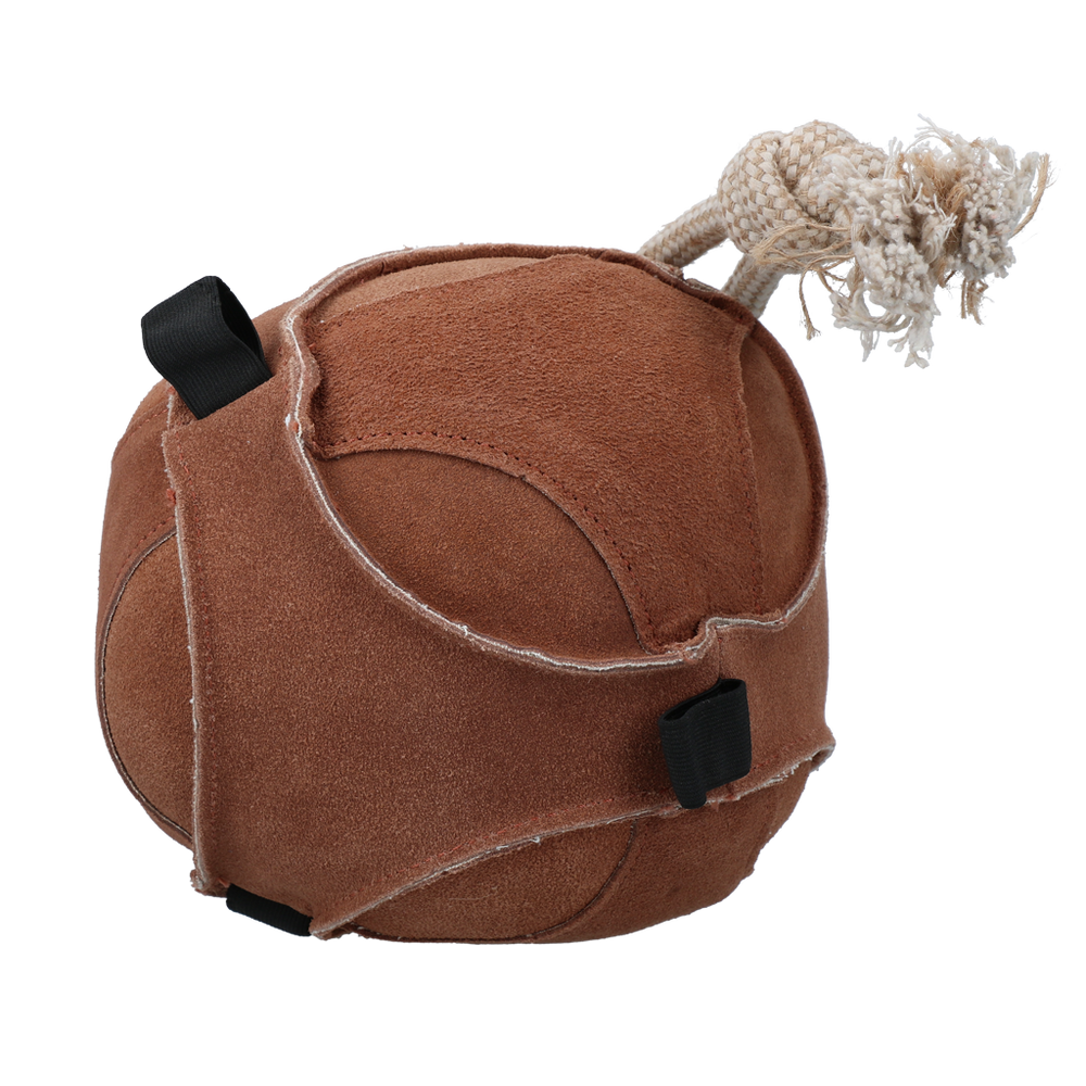 Speelballen paard