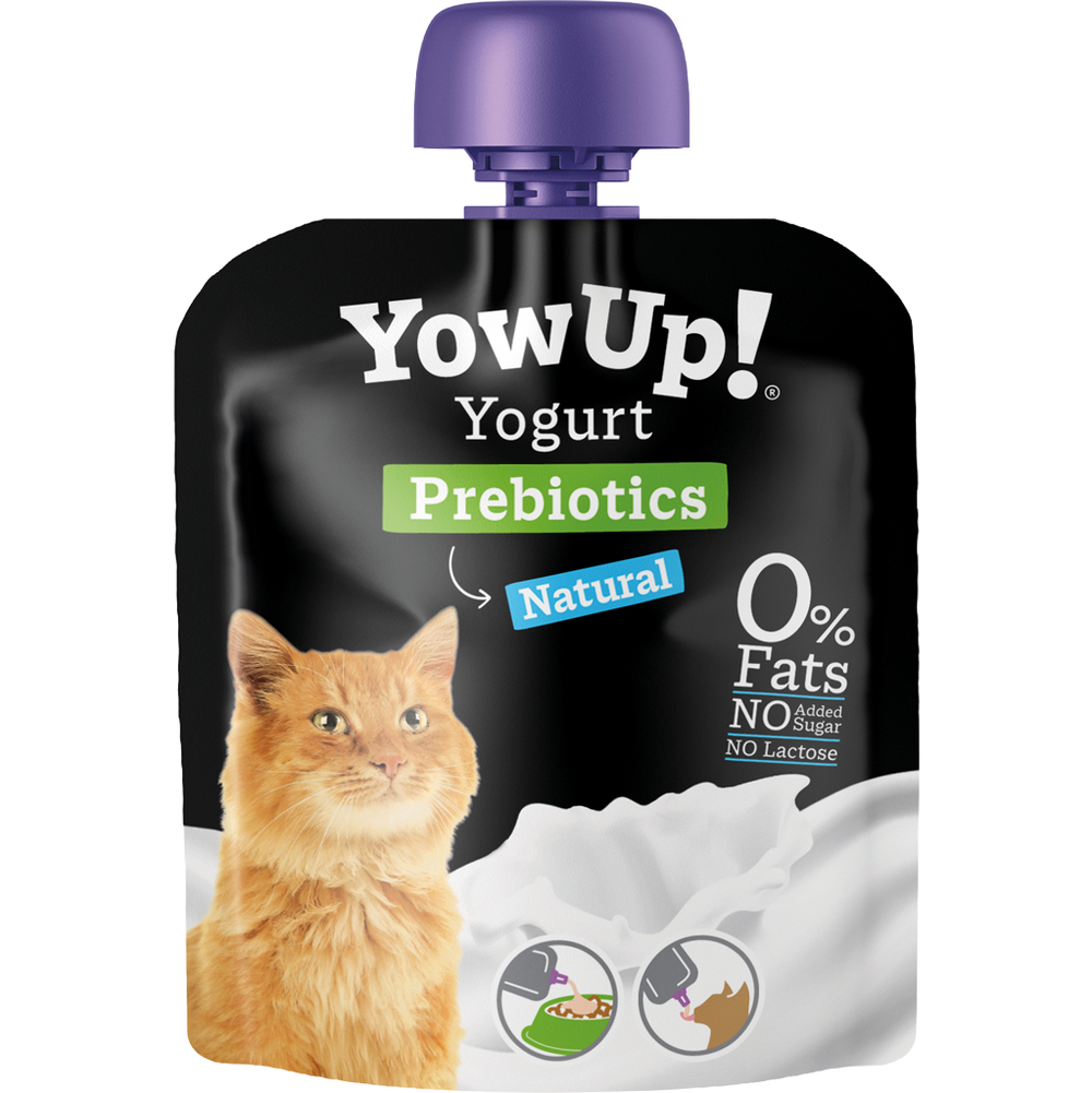 Yoghurt voor katten