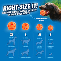 Chuckit! Air Fetch Ball L