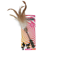 Addicted! Stick with Balls & Feathers