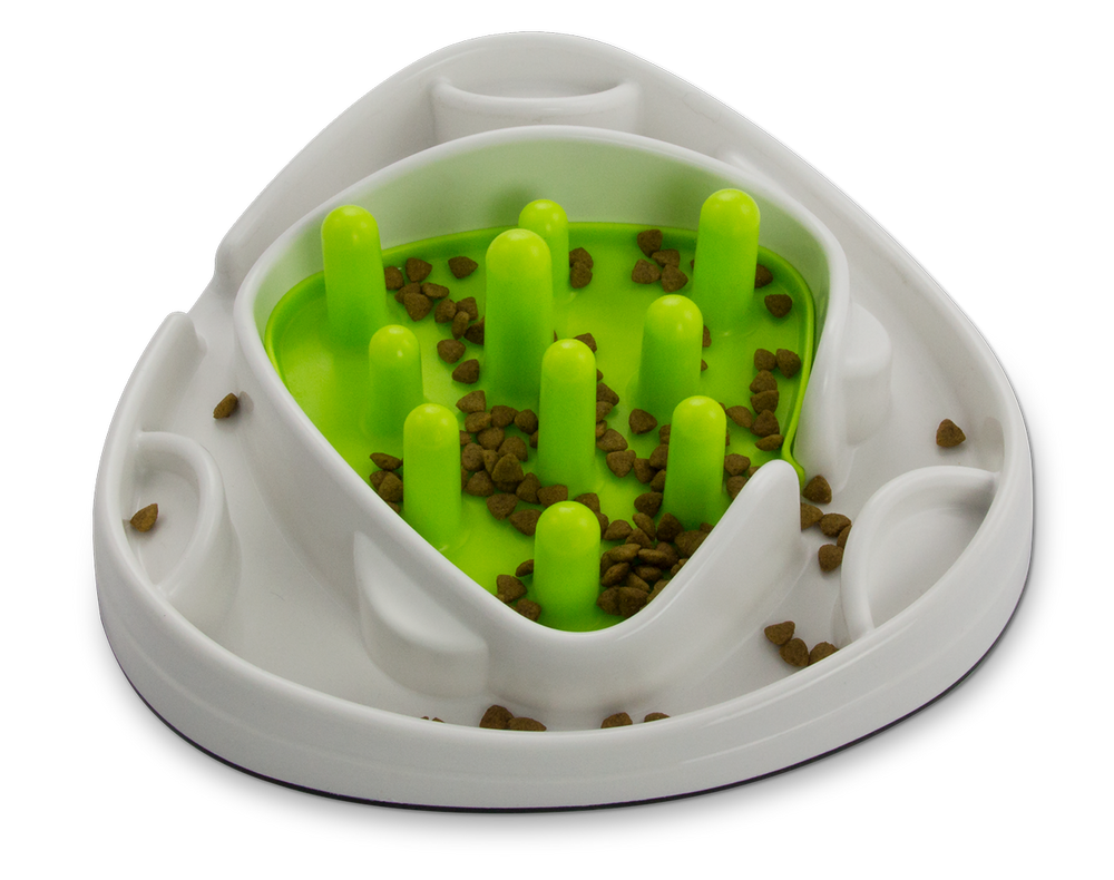 AFP Interactives - Food Maze