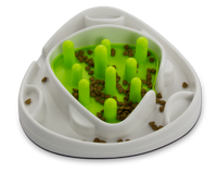 AFP Interactives - Food Maze