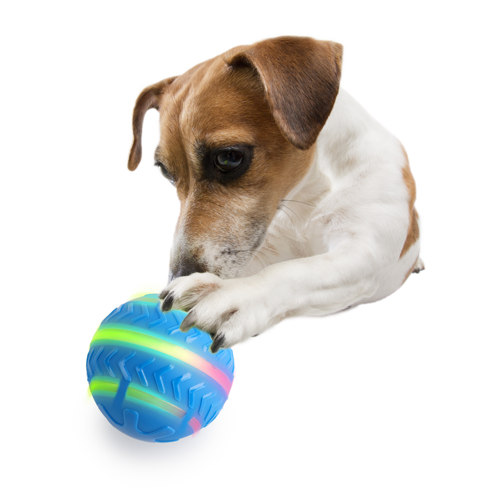 AFP Interactives Motion Activated Action Ball