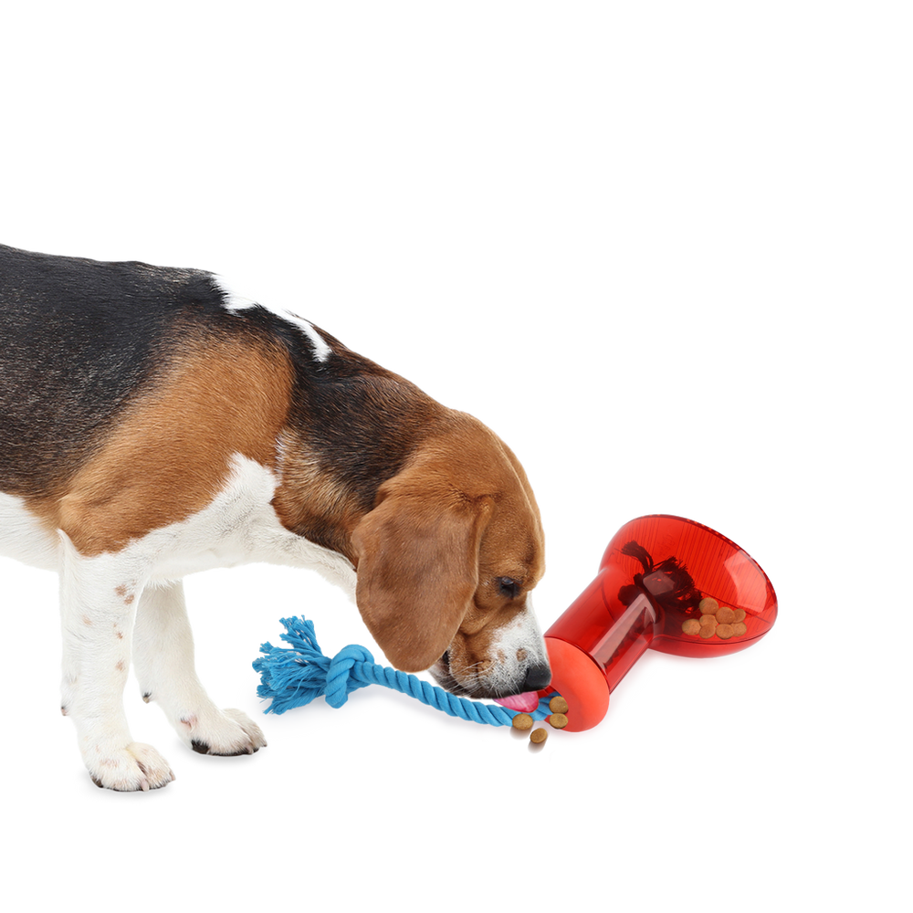 AFP Doggies' Shoes Big Boot Dispenser L