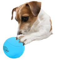 AFP Meta Ball - Bounce & Rattle Ball