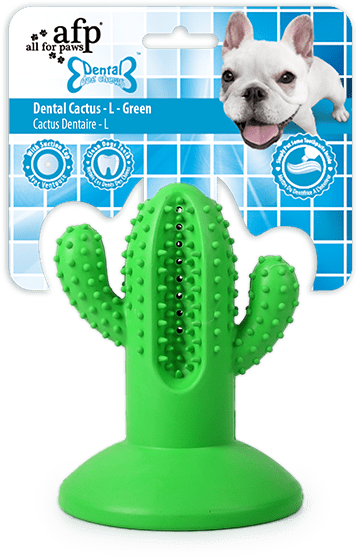 
  AFP Dental Chews - Dental Cactus L Groen - artikelnummer AFPH04198
