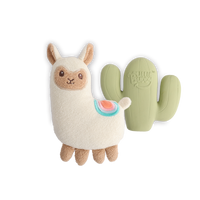 AFP Little Buddy 2-Pack Toy Fiesta