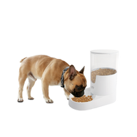 AFP Lifestyle 4 Pets Gravity Pet Food Feeder