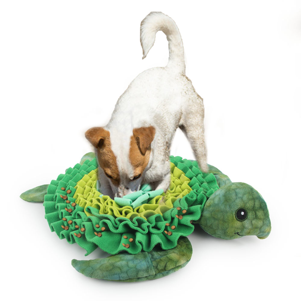 AFP  Dig It - Treat Mat Zeeschildpad