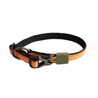 AFP Off Street - Dog Collar Mandarijn M