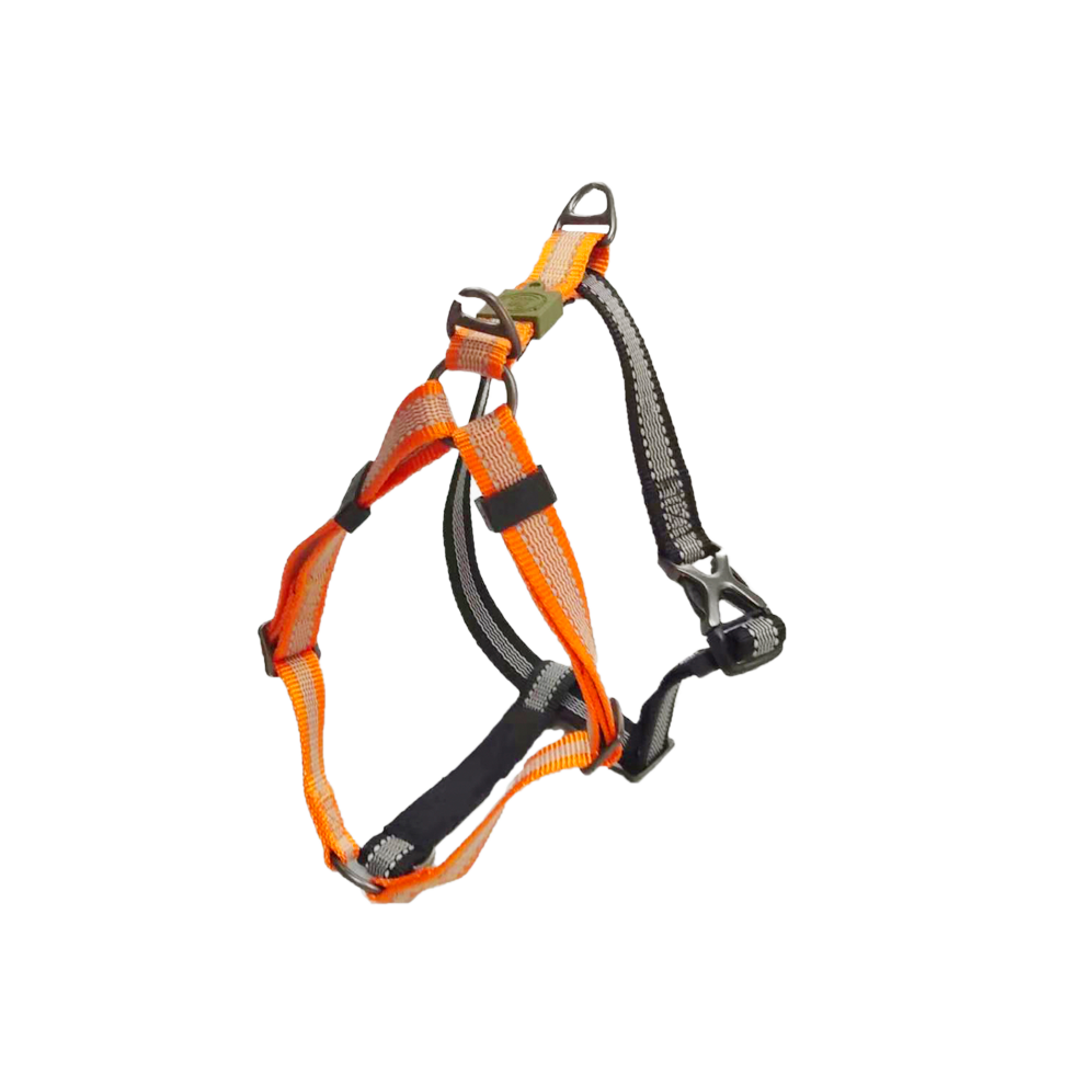 AFP Off Street - Dog Non-Pull Harness Mandarijn XL