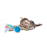 AFP Modern Cat Dizzy Spinner