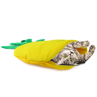 AFP Green Rush - Play Mat Ananas