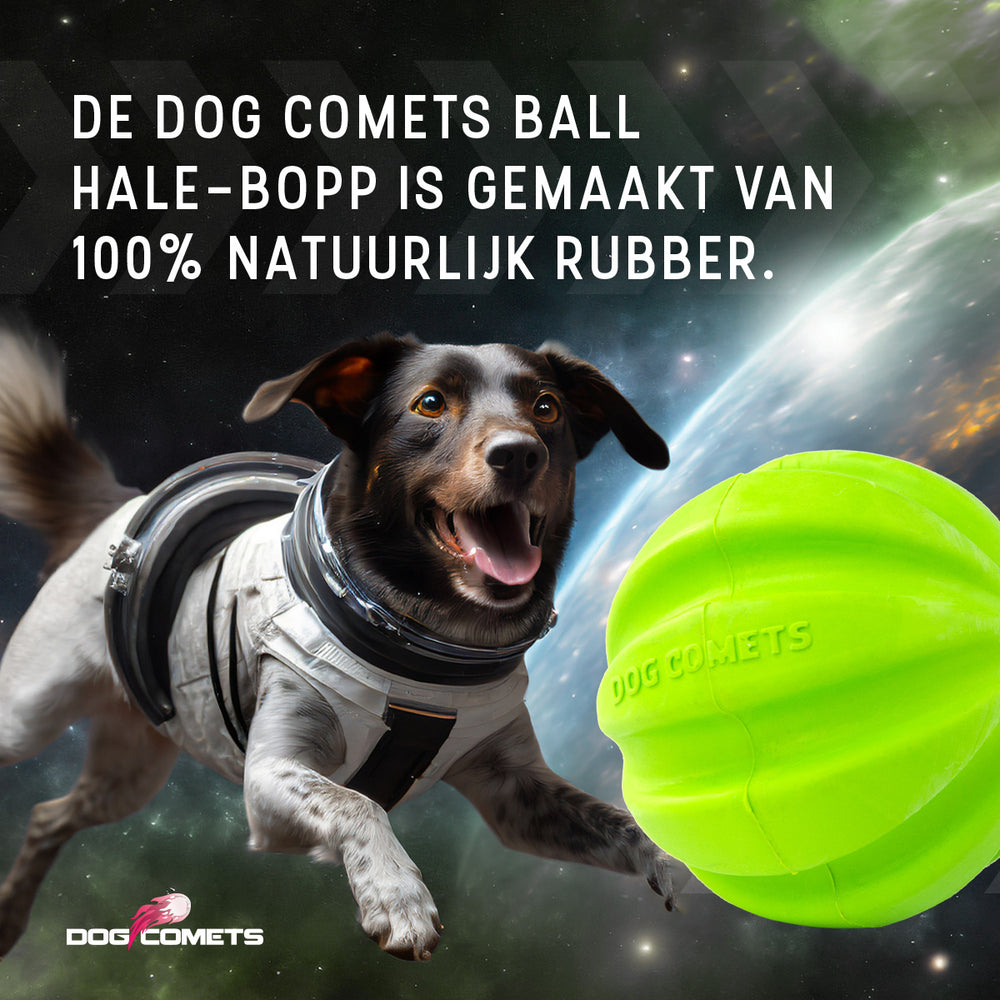 Dog Comets Hale Bopp Met Touw Groen