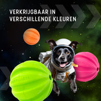 Dog Comets Hale Bopp Met Touw Groen