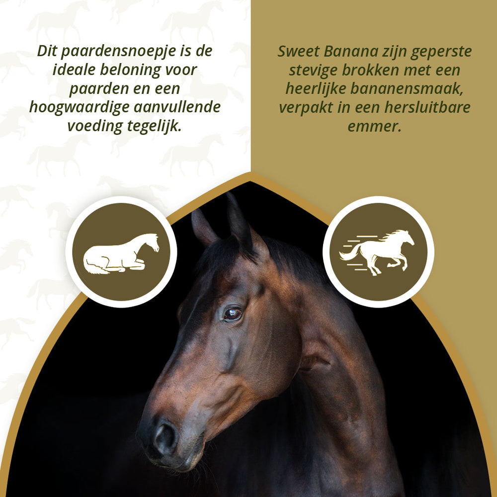 Excellent Horse Sweet Blocks Banana 1,2 kg