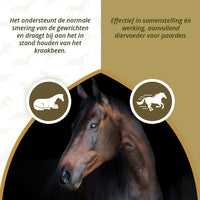 Excellent Horse Mobility Plus 2 kg