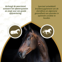 Excellent Horse Parex 1,5 kg