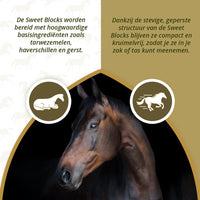 Excellent Horse Sweet Blocks Eucalyptus 1 kg