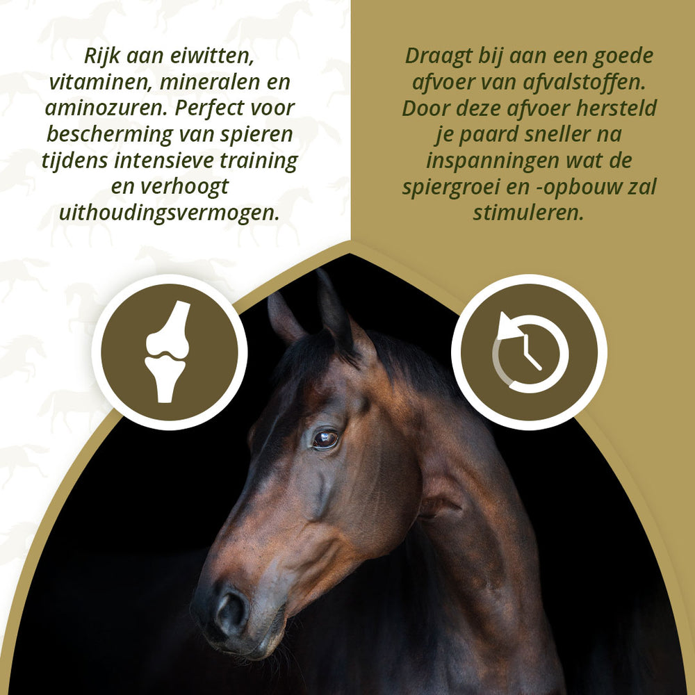 Excellent Horse Turbo 1 kg