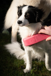 Excellent Pets Grooming Brush Medium Roze