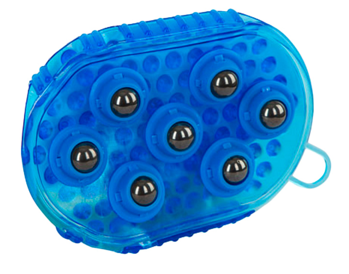 
  Borstel magneet massage Blauw - artikelnummer BORS0022D
