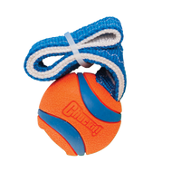 Chuckit! Ultra Tug S