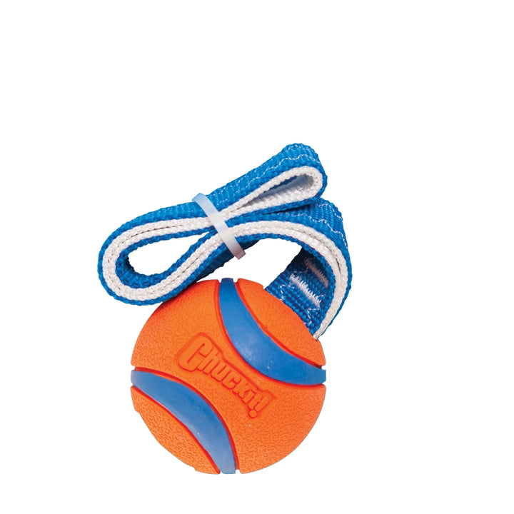
  Chuckit! Ultra Tug M - artikelnummer CHUC231201
