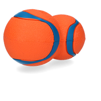 Chuckit! Ultra Tumbler