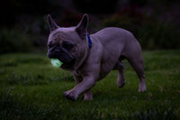 Chuckit! Air Glow Fetch Ball M (2-pack)