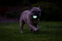 Chuckit! Air Glow Fetch Ball S (2-pack)