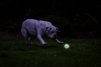 Chuckit! Air Glow Fetch Ball M