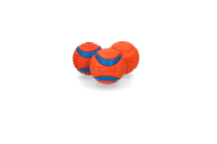 Chuckit! Fetch Medley Gen 3