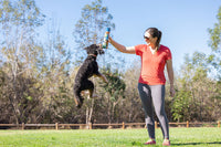 Chuckit! Sniff Fetch Ball Bacon & Peanut Butter M 4-pack