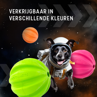 Dog Comets Swift Tuttle Met Touw Oranje