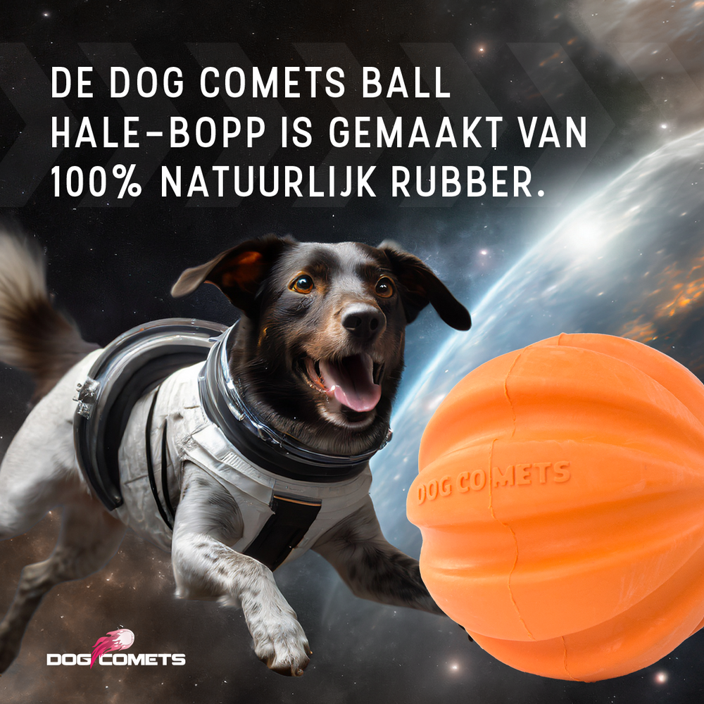 Dog Comets Swift Tuttle Oranje