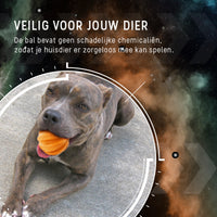 Dog Comets Swift Tuttle Oranje