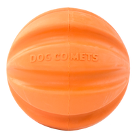 Dog Comets Swift Tuttle Oranje