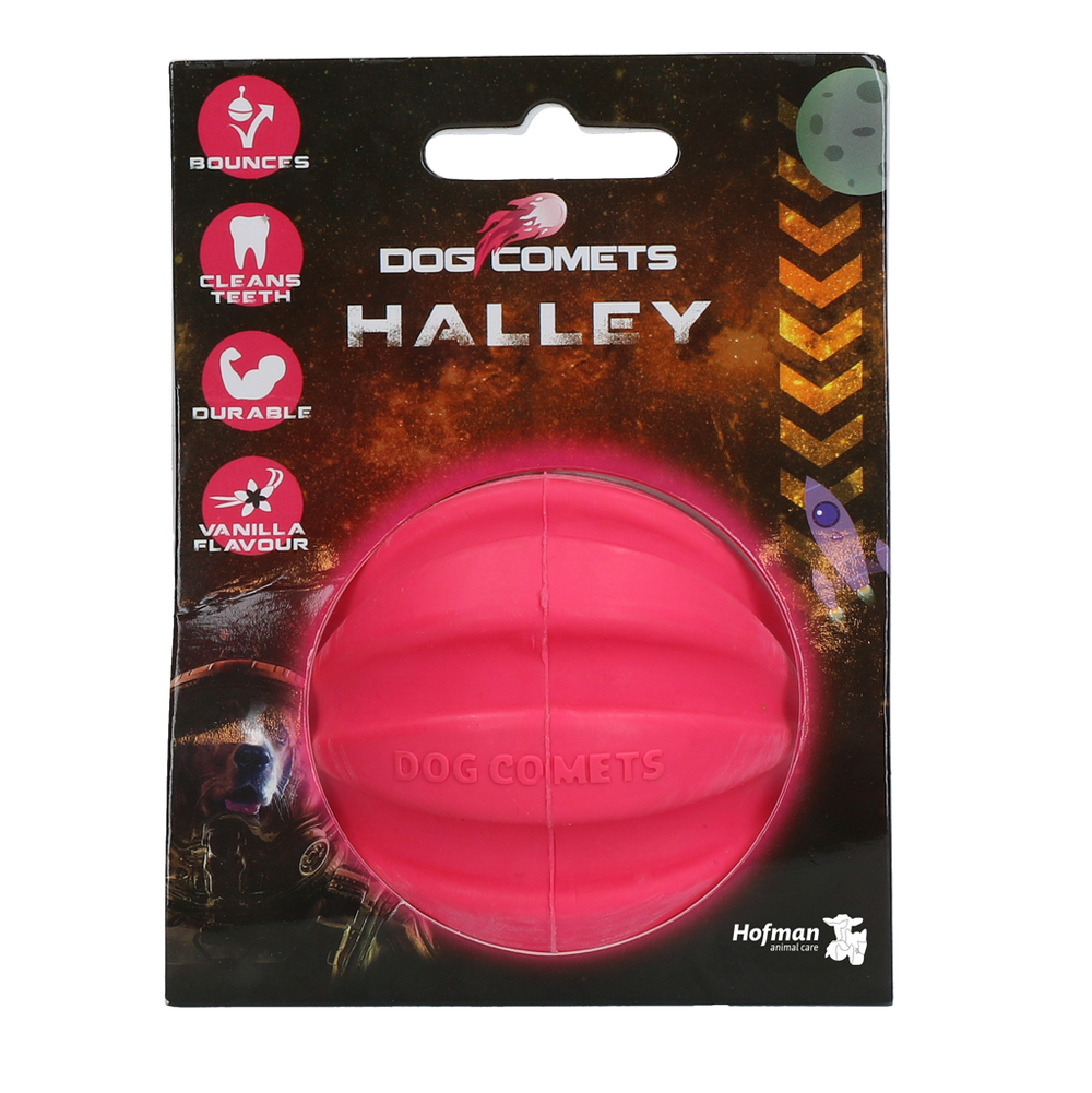 Dog Comets Halley Roze