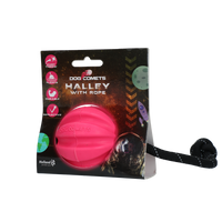 Dog Comets Halley Met Touw Roze