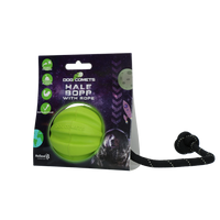 Dog Comets Hale Bopp Met Touw Groen