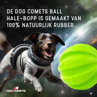 Dog Comets Hale Bopp Groen