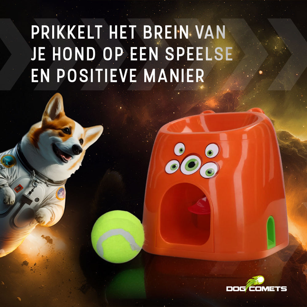 Dog Comets D1spencer Fetch and Treat