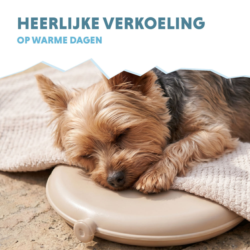 Coolpets Cooling Disc Beige